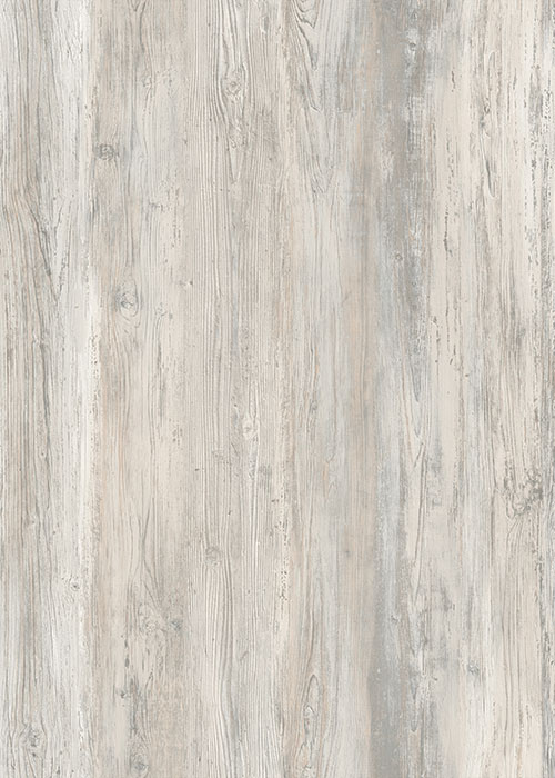 AR145 Parris Island Lite