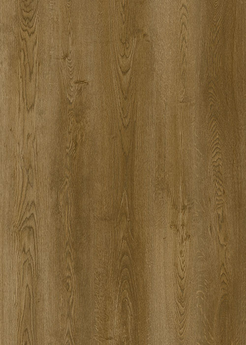 PU602 Gallatin Forest